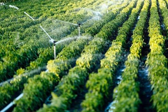 Agricultural Water Solutions